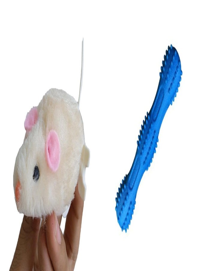 PET FUN Wind-Up Key Mouse Toy for Cats & Small Pets | Realistic Plush with Twirling Tail TPR Squeaky Spike Stick Toy for Dogs & Cats | Durable Chew-Resistant Teething Toy Combo of 2 - Image 1